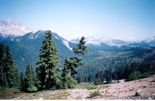 Another view from ridge leading to Elfin Lakes 2004-08.